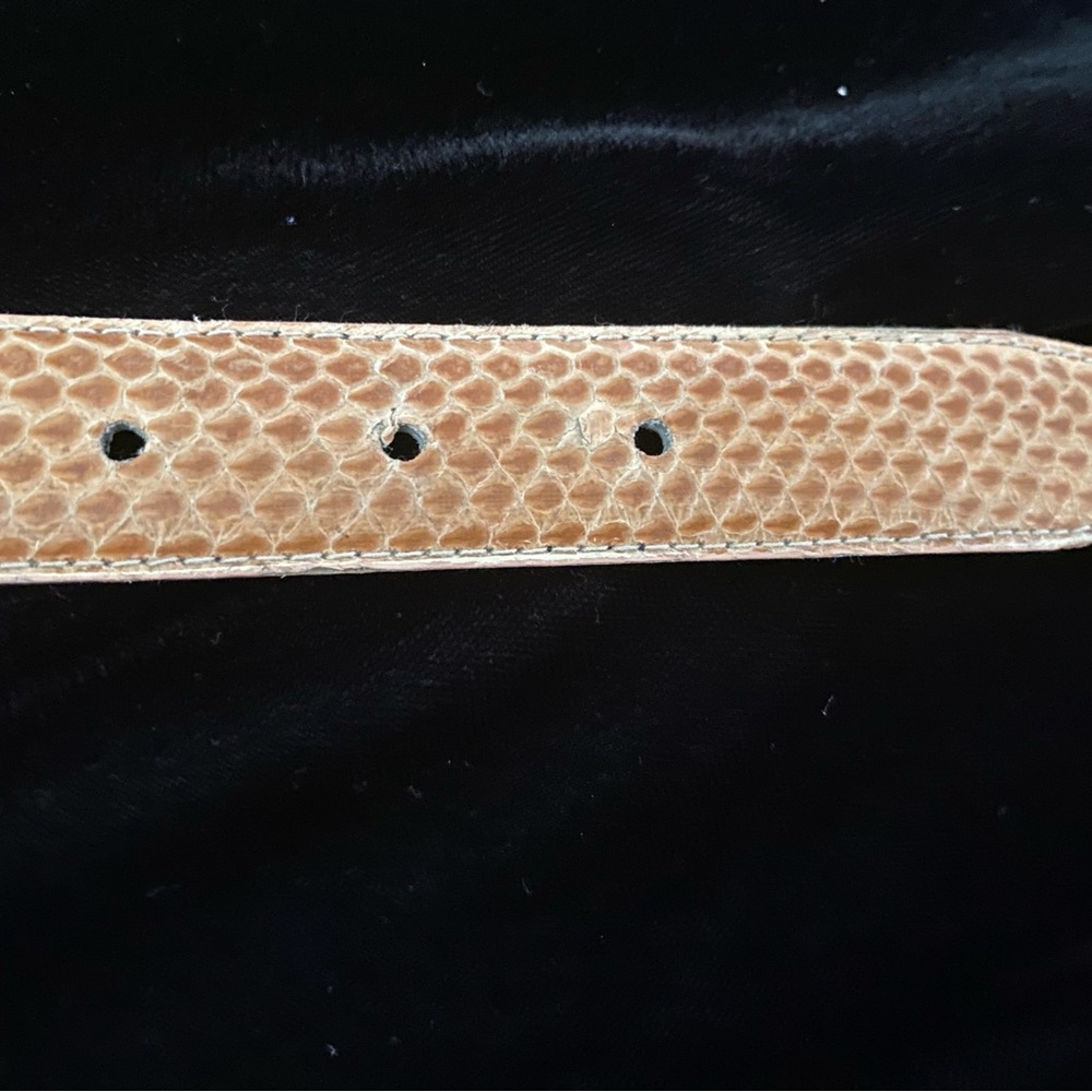 Genuine Snakeskin 🐍 Belt - Picture 4 of 6